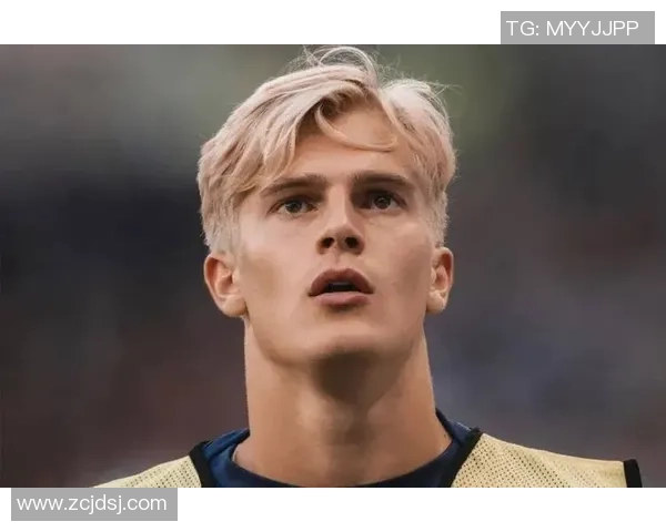 瑞典足球明星排名前十的传奇球员与他们的辉煌成就分析